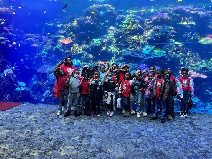 Students in front of fish at the Ga Aquarium